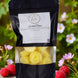 Spring Breeze Wax Tarts
