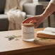 Whispering Woods Candle