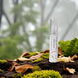 Whispering Woods Room Spray